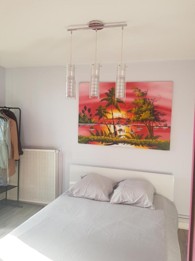 Chambres A Louer Dans Appartement Balcon - Wifi - Parking Gratuit Nevers Exterior photo