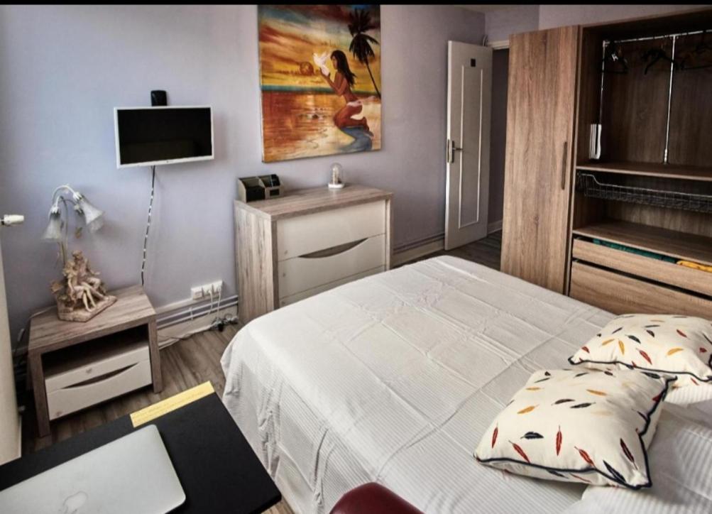 Chambres A Louer Dans Appartement Balcon - Wifi - Parking Gratuit Nevers Exterior photo